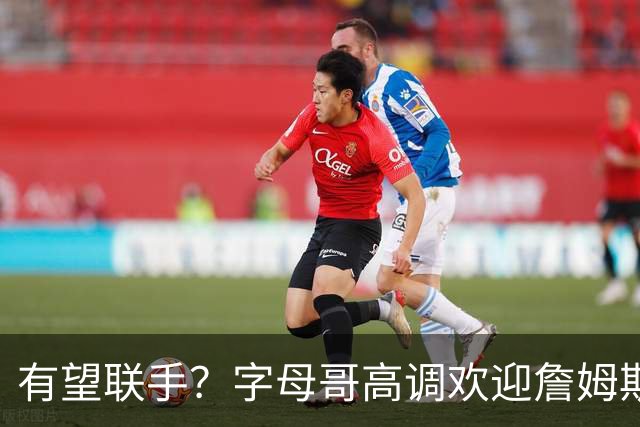 有望联手？字母哥高调欢迎詹姆斯加盟热火，盛赞老詹是最伟大球员