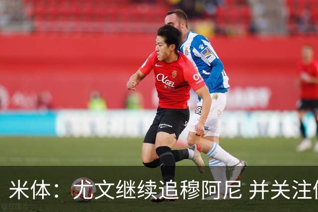 米体：尤文继续追穆阿尼 并关注佩莱格雷诺；大马丁或向维拉施压
