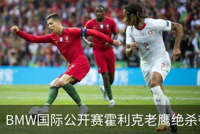 BMW国际公开赛霍利克老鹰绝杀夺首冠 吴阿顺T7
